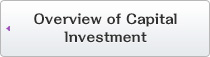 Overview of Capital Investment