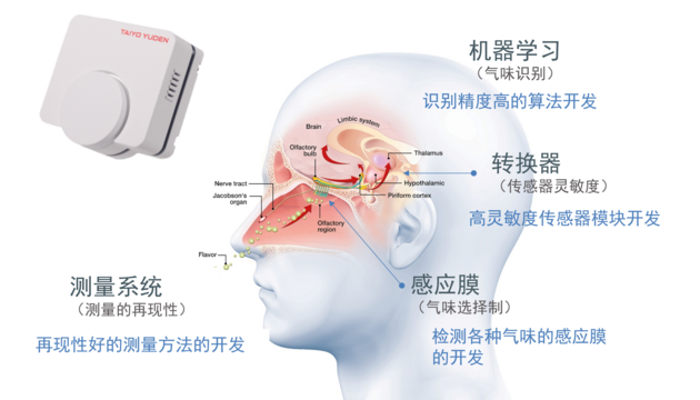 Measurement system (reproducibility of measurements): Development of measurement methods with good reproducibility / Machine learning (odor identification): Development of algorithms with good identification accuracy /  Transducer (sensor sensitivity): High sensitivity sensor module development / Sensitive membrane (odor selection system): Development of a sensitive membrane that can detect various odors