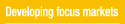 Developing focus markets