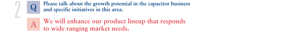 Q.Please talk about the growth potential in the capacitor business and specific initiatives in this area.
			A.We will enhance our product lineup that responds to wide ranging market needs.