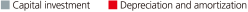 Capital investment, Depreciation and amortization