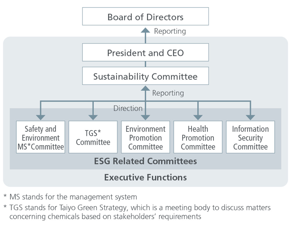 Sustainability Committee Structure